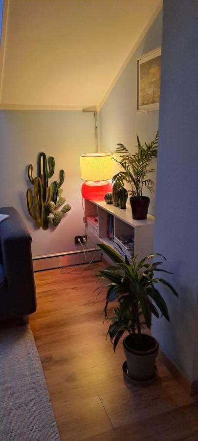 La Mia Mansardina Apartment Collegno Luaran gambar